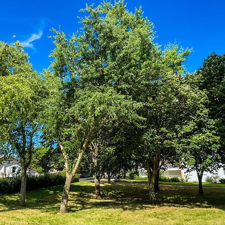 T3 Moderne Avec Balcon Terrasse Et Parking Gratuit Niort Exterior foto